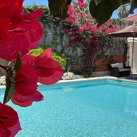 Studio With Private Swimming Pool And Garden Cascais Dış mekan fotoğraf