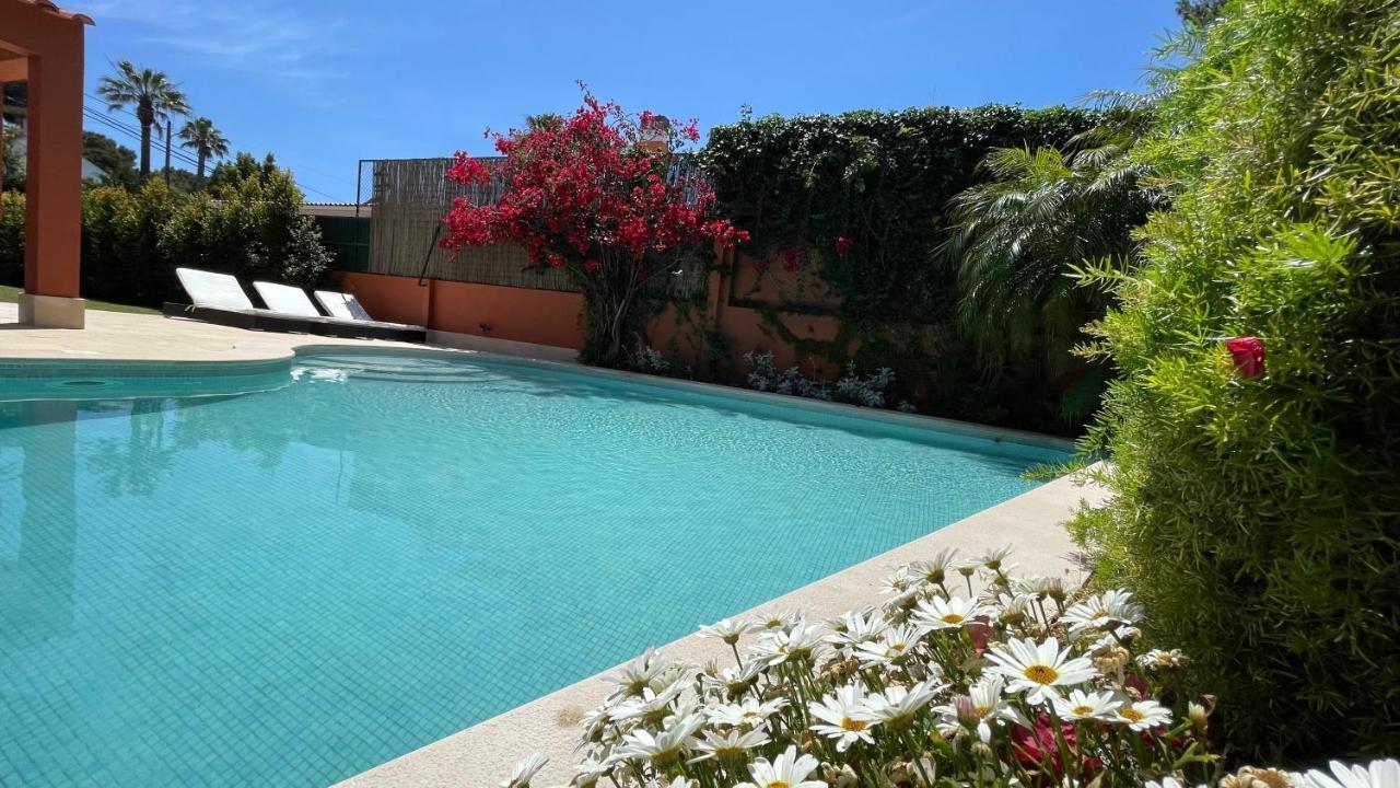 Studio With Private Swimming Pool And Garden Cascais Dış mekan fotoğraf