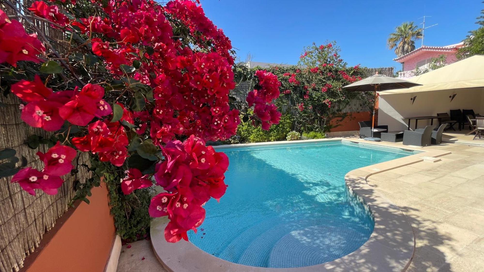 Studio With Private Swimming Pool And Garden Cascais Dış mekan fotoğraf